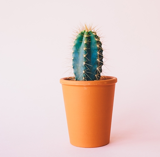 Making Data-Driven Decisions with Google Analytics